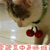 宝藏高中老师推荐
