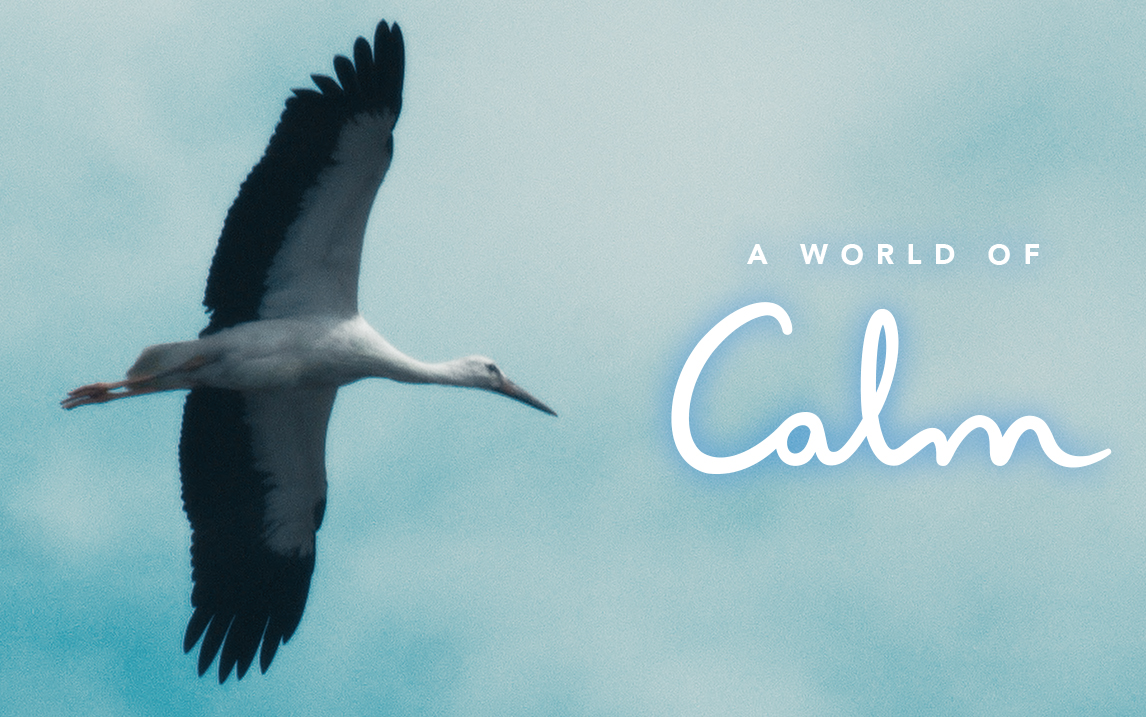 【纪录片】宁静的世界 A World of Calm 03 鸟的旅途