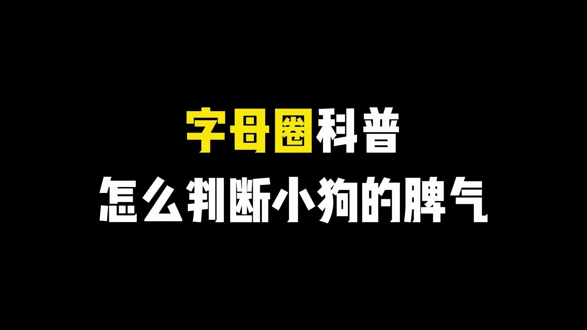 怎么判断小狗的脾气