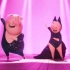 《欢乐好声音》两只猪猪演绎霉霉《Shake it off》
