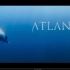 深海警告！千万不要一个人去潜水！动画短片：《亚特兰蒂斯(Atlantis)》