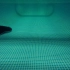 仿蝠鲼智能水下航行器演示版