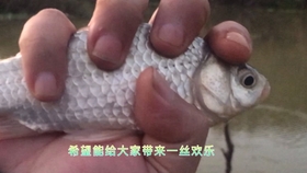 df1a0d8c74810c9c3ca99b682ddbf60a9b1130ae.jpg@280w_158h_1c_100q.jpg