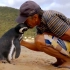巴西渔民发现全身是油的企鹅卡在石缝中……从此多了一个企鹅朋友|人与动物不思议故事集【自制中字】