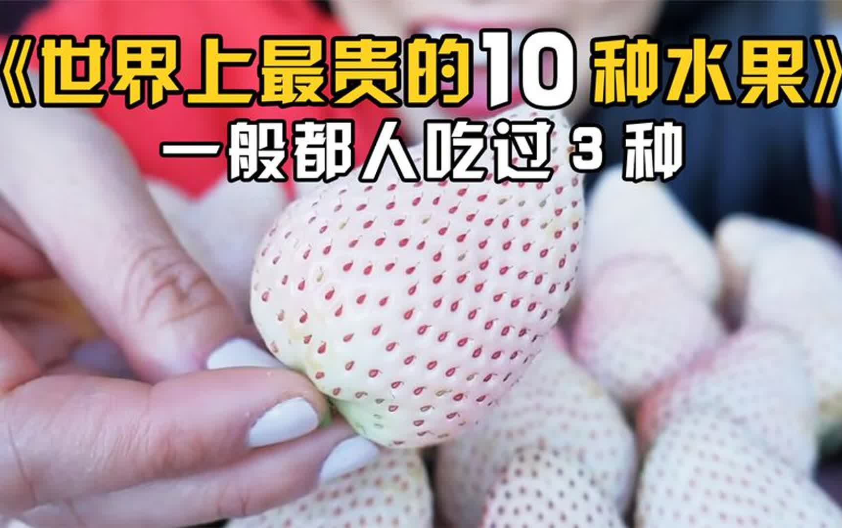 世界上最贵的10种水果,一般人只吃过3种,看看你吃过多少种?哔哩哔哩bilibili