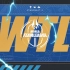 【星际老男孩】2021年4月30日WTL世界星际战队联赛第6轮