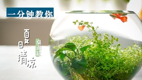 df5edbe6a965d98c8ed791d0c8b8b6cd281e8b71.jpg@280w_158h_1c_100q.jpg