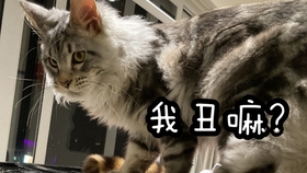 df642a4db44cb79fa9d758ae9226149d78c1c1e1.jpg@280w_158h_1c_100q.jpg