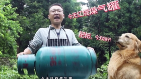 炒肉丝油渣 df6ad2d69bb6de6cc2faa4f0b8dcfe8152d7f2bd.jpg@280w_158h_1c_100q.jpg