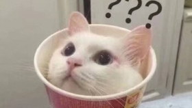 为什么叫大胖橘 df6d963d9afa4cb3e3e730d85b896ee579a15d5b.jpg@280w_158h_1c_100q.jpg