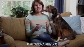 df6fe09d98f1043f73732359d15de721e1d0bfb9.jpg@280w_158h_1c_100q.jpg