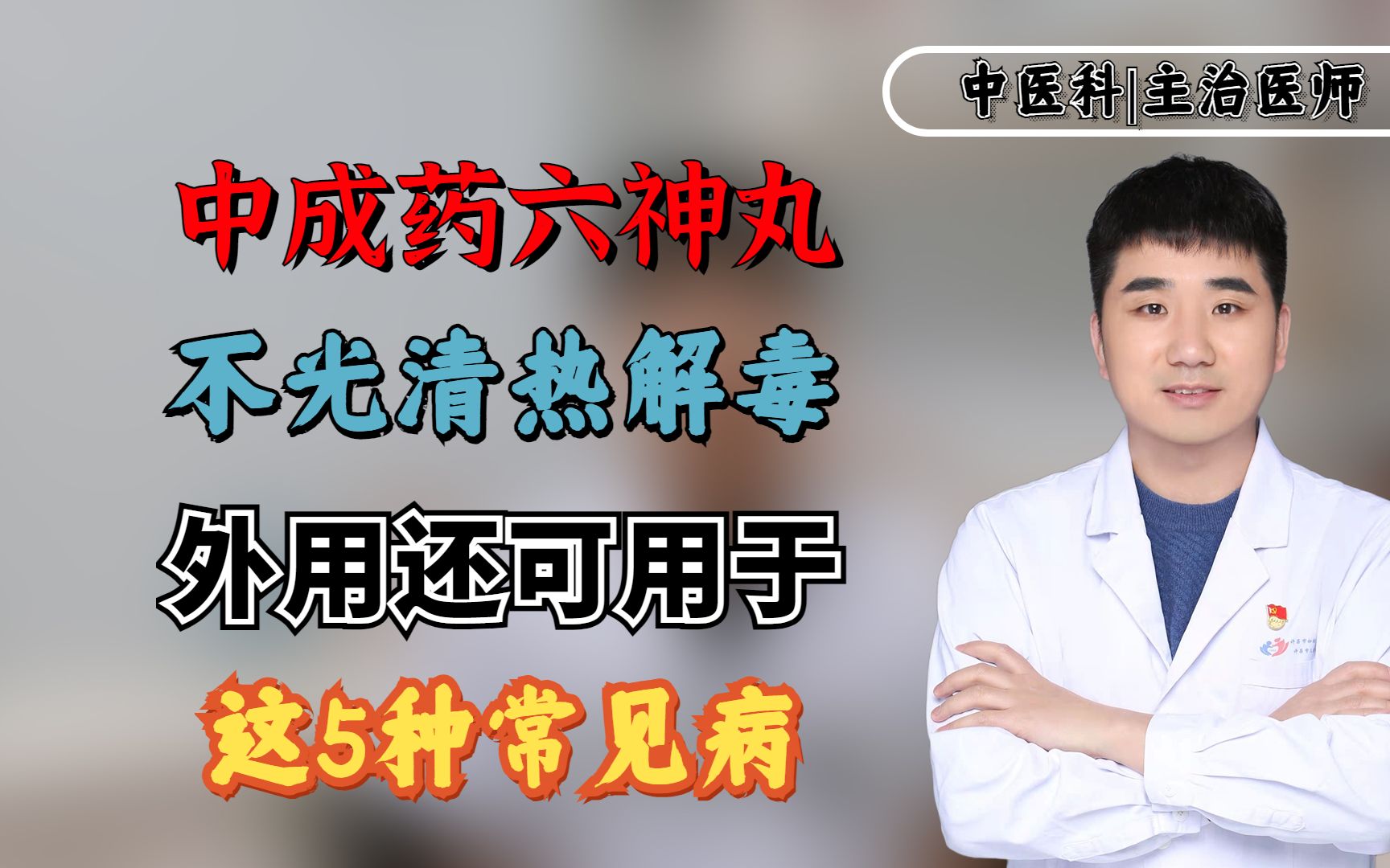 上海 雷氏 六神丸 Liu Shen Wan for Sore Throat Tonsillitis Sore Throat Furuncle 30 Pills - TCM Herbs USA ...
