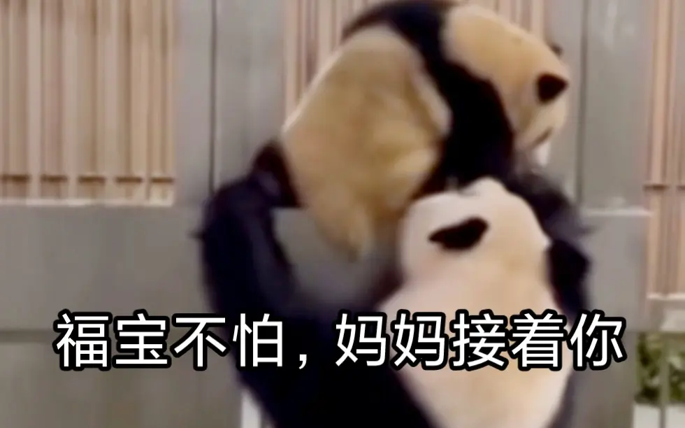 爱宝真的是一位很优秀的母亲