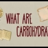 【Ted-ED】碳水化合物如何影响你的健康 How Do Carbohydrates Impact Your Healt