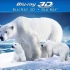 【720P】【美国】冰熊【2013】【英语中英字幕】【一家子呆萌呆萌的北极熊】