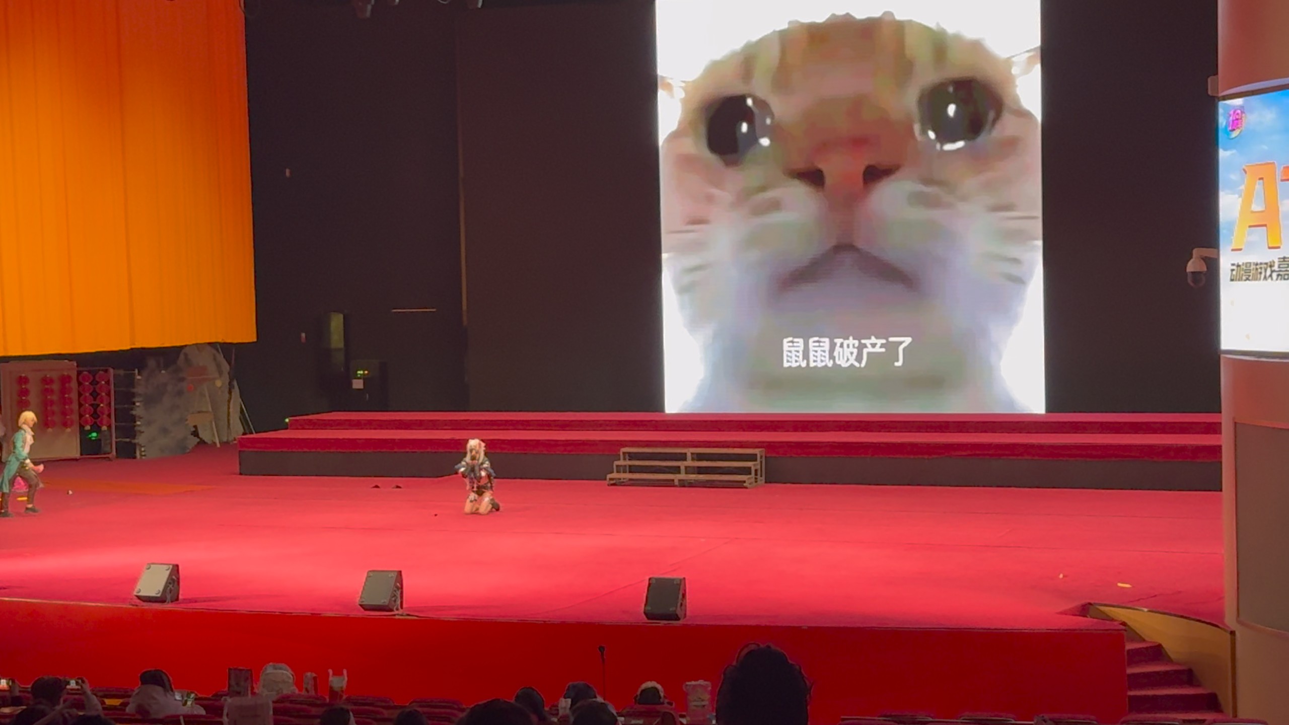 可怜可怜鼠鼠吧，让我得吃一把吧