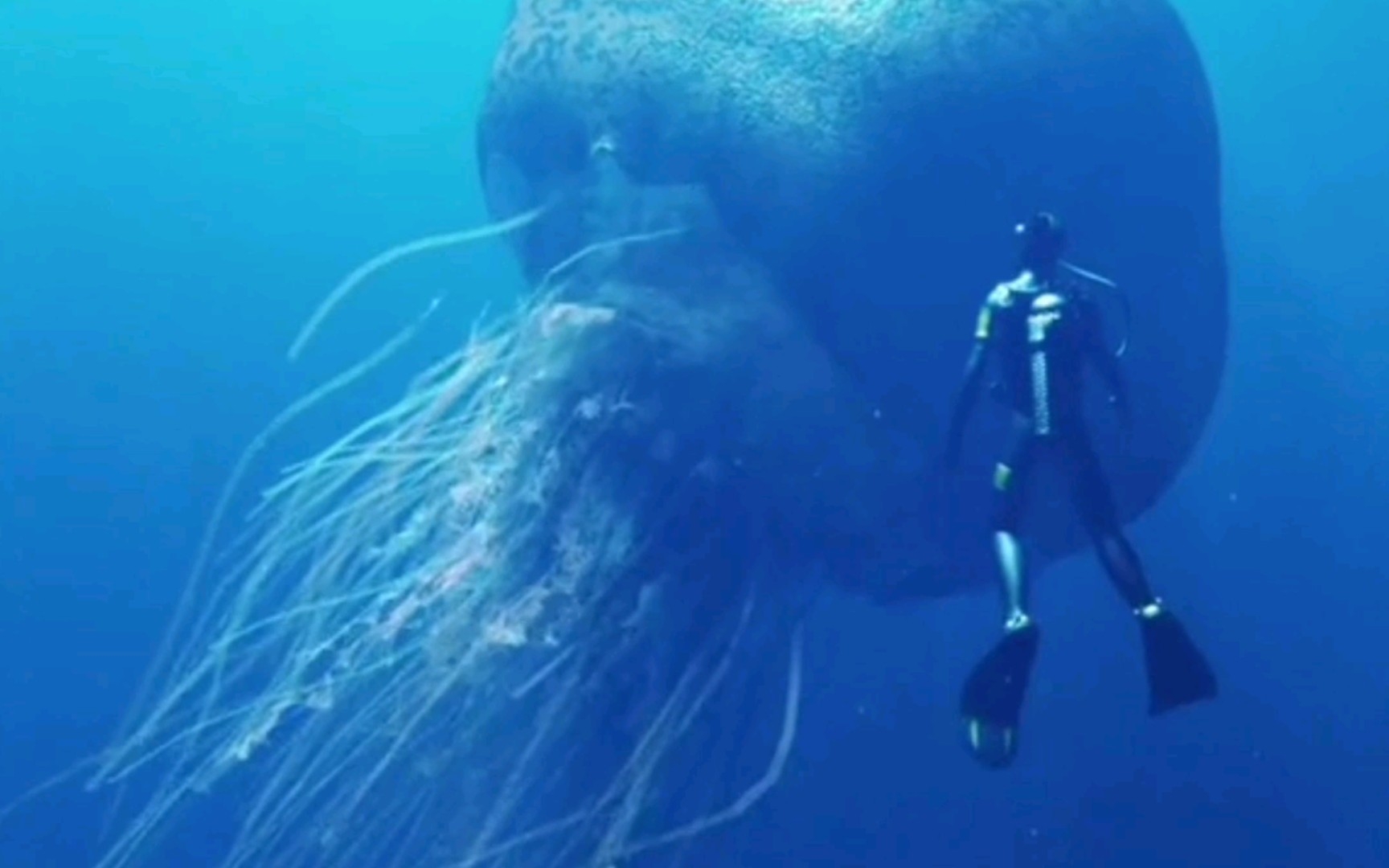 有哪些深海恐惧症看了会害怕的图片？ - 知乎