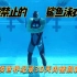 被禁止的鲨鱼皮泳衣：14项世界纪录在30天内被刷新