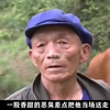 看完这个故事，老湿机不禁感慨这个女孩的一生真的太苦了（全
