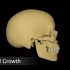 动图：什么是面部的正向生长？孩子的颅面部发育，从出生到8岁会完成90%	如果像动图的演示，获得充分正向生长，就会有高颜值