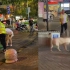 两只狗未拴绳被当街捕获，主人竟指着工作人员的腿向狗下令：咬他