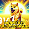 狗狗币即将爆发！2025 年 3 月 DOGE 将涨到多高