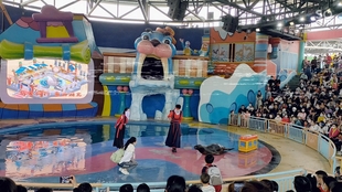 海洋公园武汉极地海洋公园 dff299e15b376b5df86baa35ef6f7381c2c04013.jpg@310w_174h_1c_100q.jpg