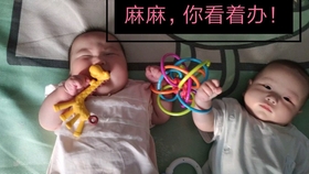 dff9f3ab58d558a4e579b214104f392a5337f78f.jpg@280w_158h_1c_100q.jpg