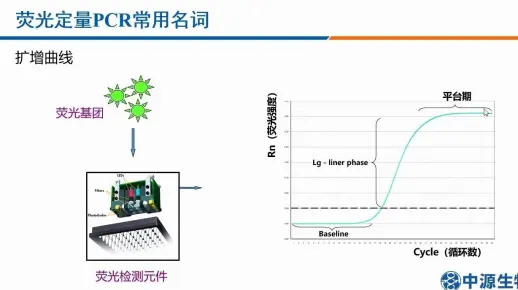 荧光定量PCR技术及相关产品介绍