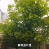 女人想用一颗金苹果毁掉世界，逼的各路英雄出手阻止，最终打死了她