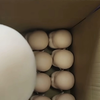 液体硅胶娃娃 模具硅胶厂