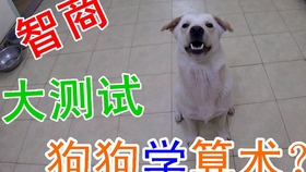 e03fdfd513aac536797c09de4dc851d3402cfac9.jpg@280w_158h_1c_100q.jpg