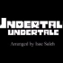 Undertale (主题曲) -  Guitar