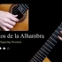 《阿尔罕布拉宫的回忆》Recuerdos de la Alhambra | Sky Guitar
