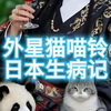 外星貓喵鈴日本生病記