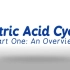 【生物化学】三羧酸循环/柠檬酸循环/TCA循环 概述（双语字幕）The Citric Acid Cycle - An O