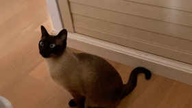e088a25d6f0e4374386026d8a0dde2bd367280bf.jpg@280w_158h_1c_100q.jpg