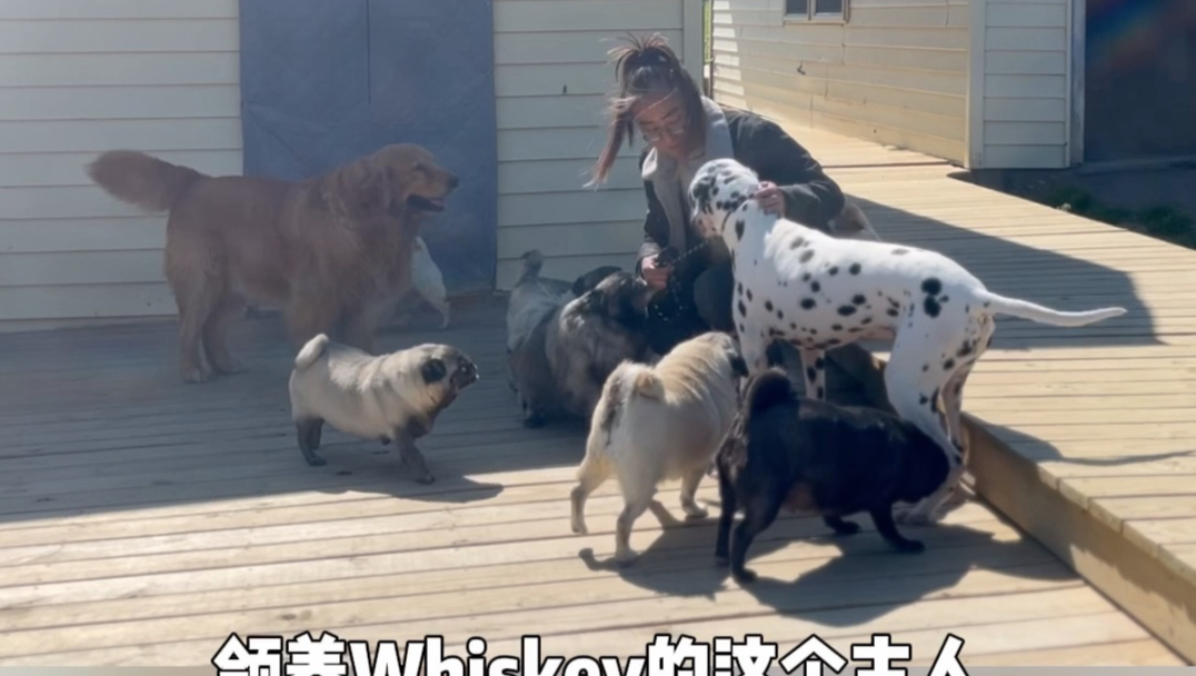 那些日子会以记忆的方式，成为我生命里的一部分。再见，whiskey～