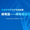生物学中不可不知的抗原——梅毒螺旋体