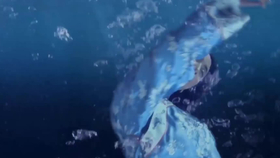 极东 e0a26b1653097a2dfcfcf4e0927de7eb36cd0e6a.png@280w_158h_1c_100q.jpg