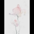 试试sketchbook  蔷薇过程