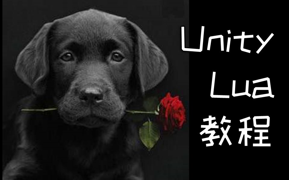 史上最全 不服来战 Unity Lua教程 游戏公司必备技能 哔哩哔哩 つロ干杯 Bilibili