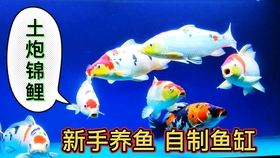 e0ce604e049ec937b13a1cec6d2ab5ca56f481b5.jpg@280w_158h_1c_100q.jpg