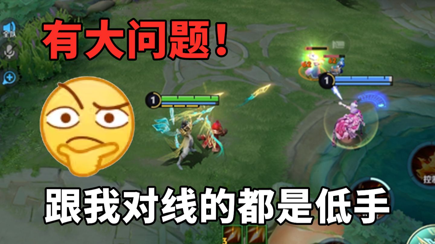 不对！有问题，跟我对线的都是低手
