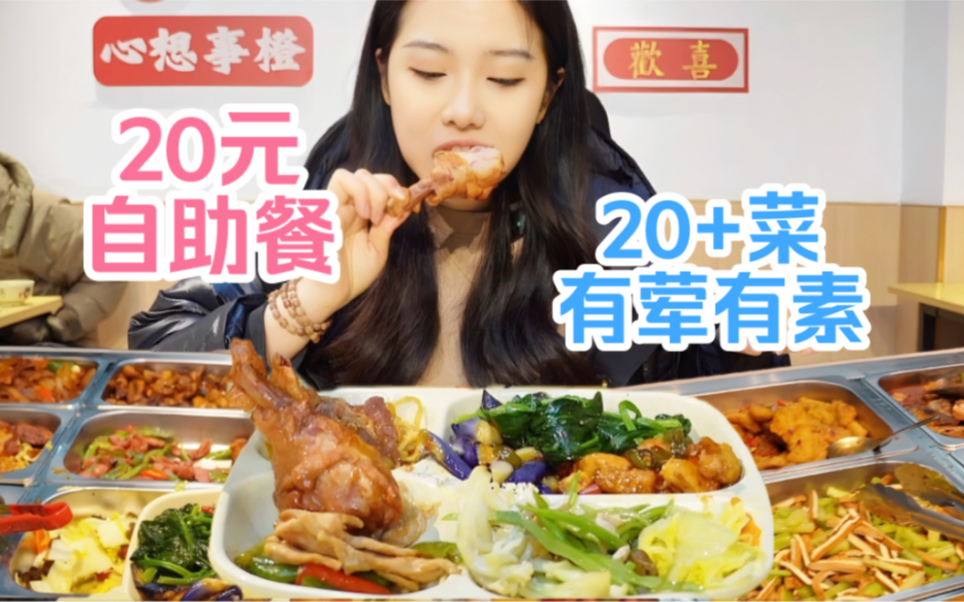 上海新开的20元自助快餐！20多种菜，有荤有素随便吃，吃饱为止～