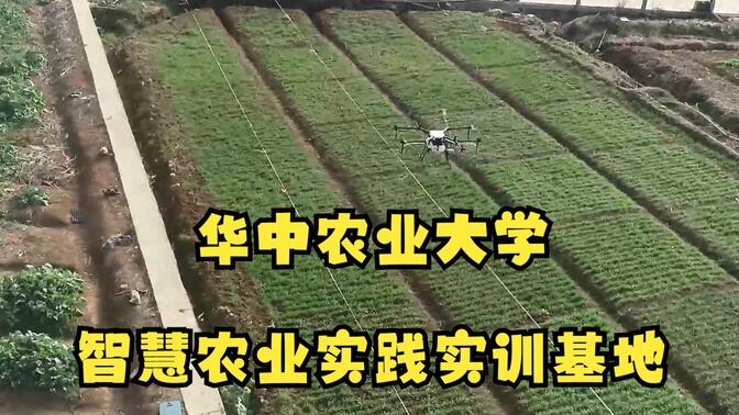 华中农业大学智慧农业实践实训基地 机器人表型平台