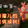 我在家里养了一群爹。。。
