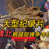大型之《清北鹅腿阿姨争夺战