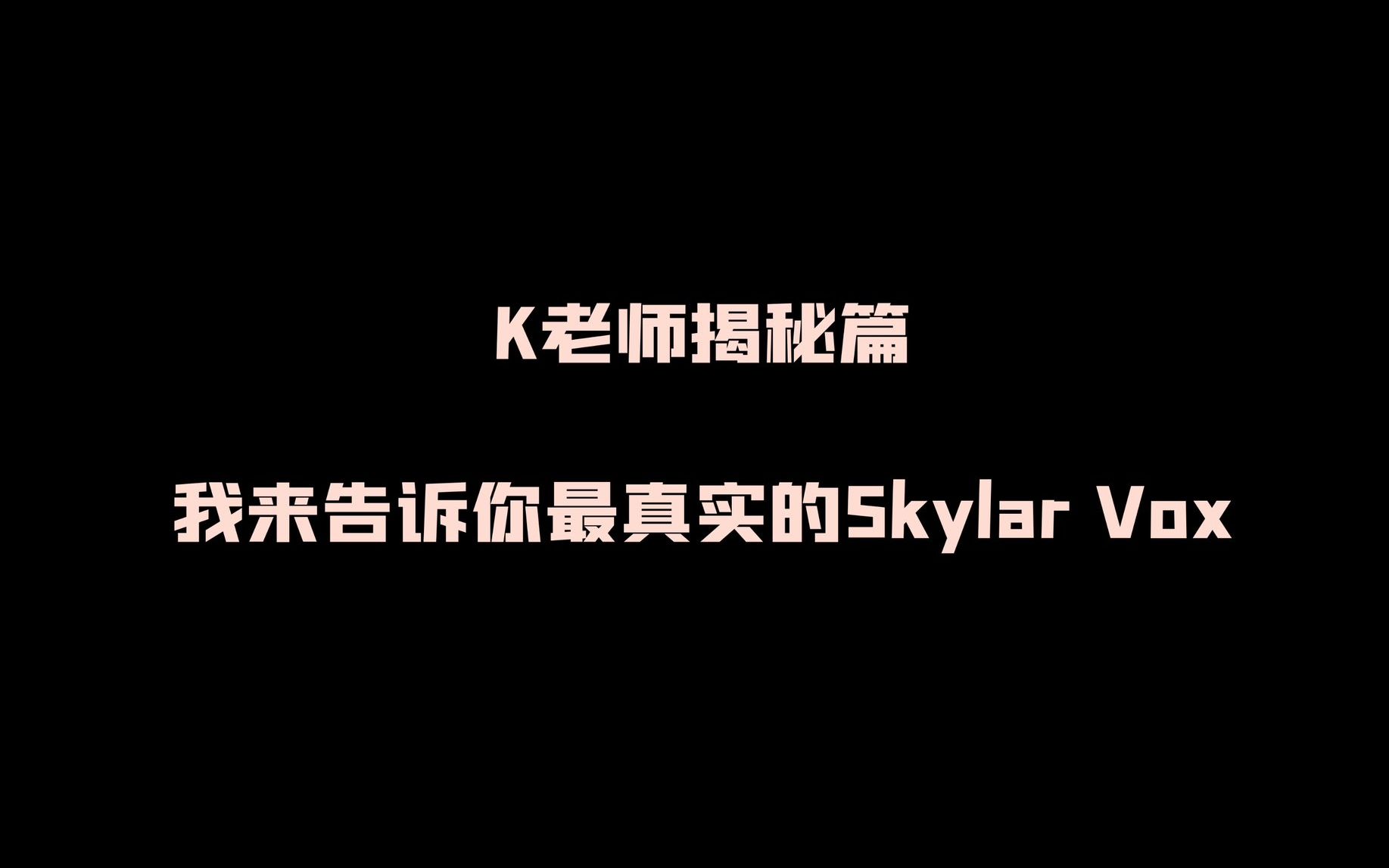 K老师揭秘篇：让我来告诉你最真实的Skylar Vox-哔哩哔哩 image