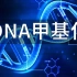 表观遗传系列-3. DNA甲基化：细胞的身份证